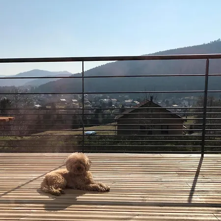 La Renouee Feriehus Gérardmer
