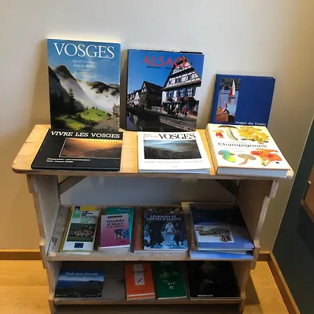 La Renouee Σπίτι διακοπών Gérardmer