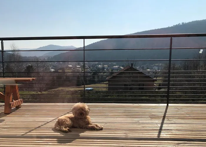 La Renouee Prázdninový dům Gérardmer