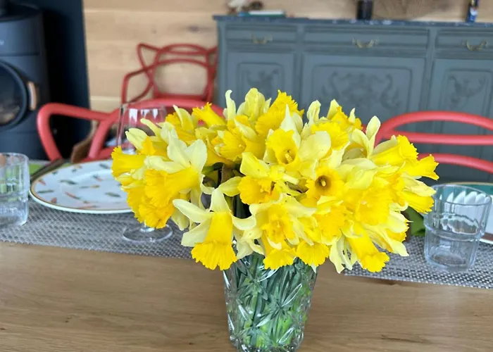 La Renouee Prázdninový dům Gérardmer